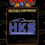 HW HKS EXPOSITORES MINIS